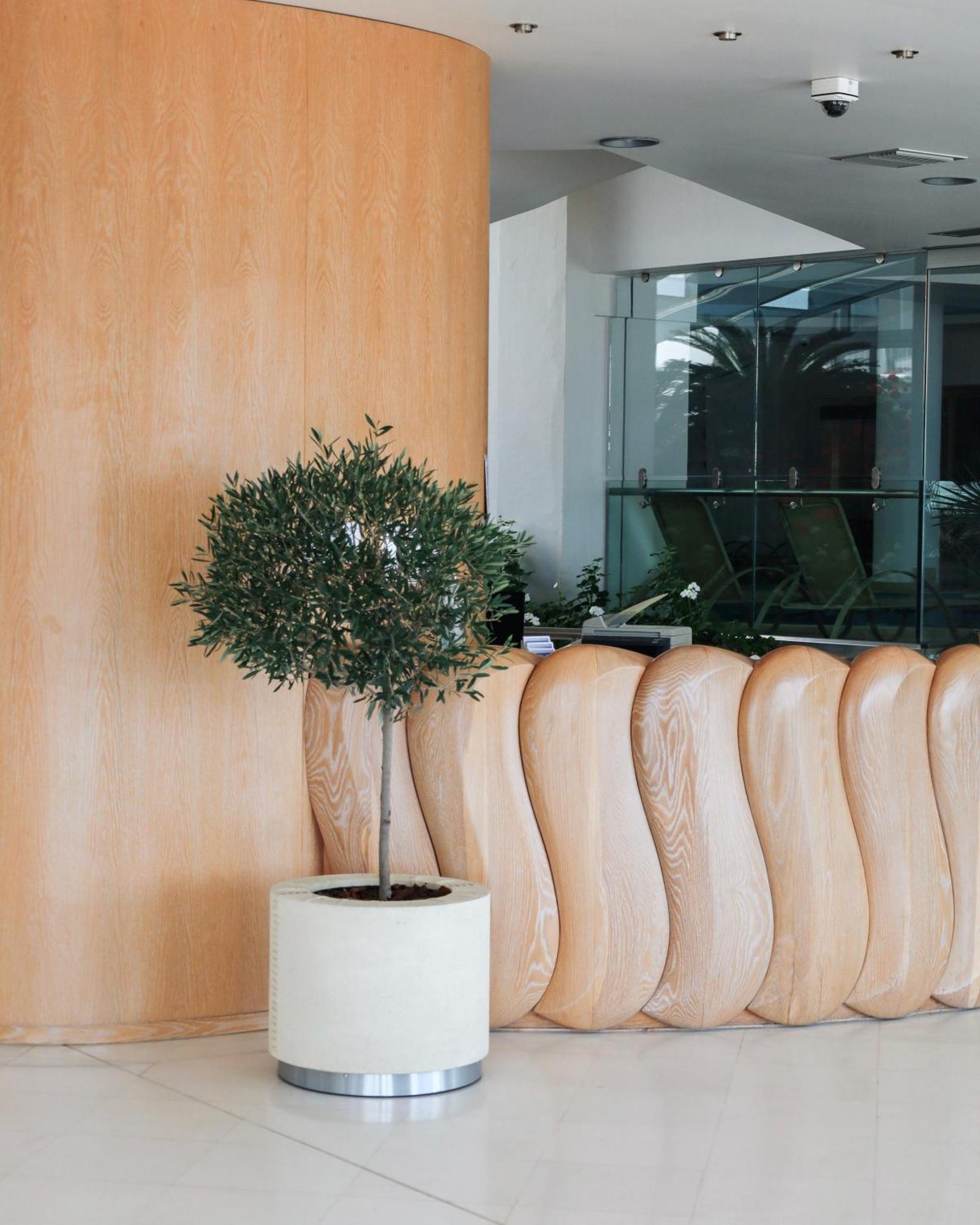 Aegean Blue Beach Hotel Nea Kallikrateia ภายนอก รูปภาพ